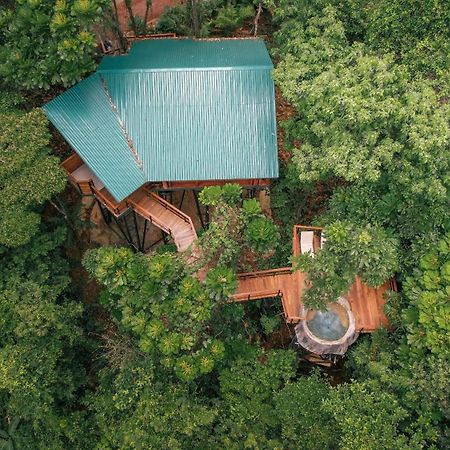 Chachagua Rainforest Hotel & Hot Springs La Fortuna Εξωτερικό φωτογραφία