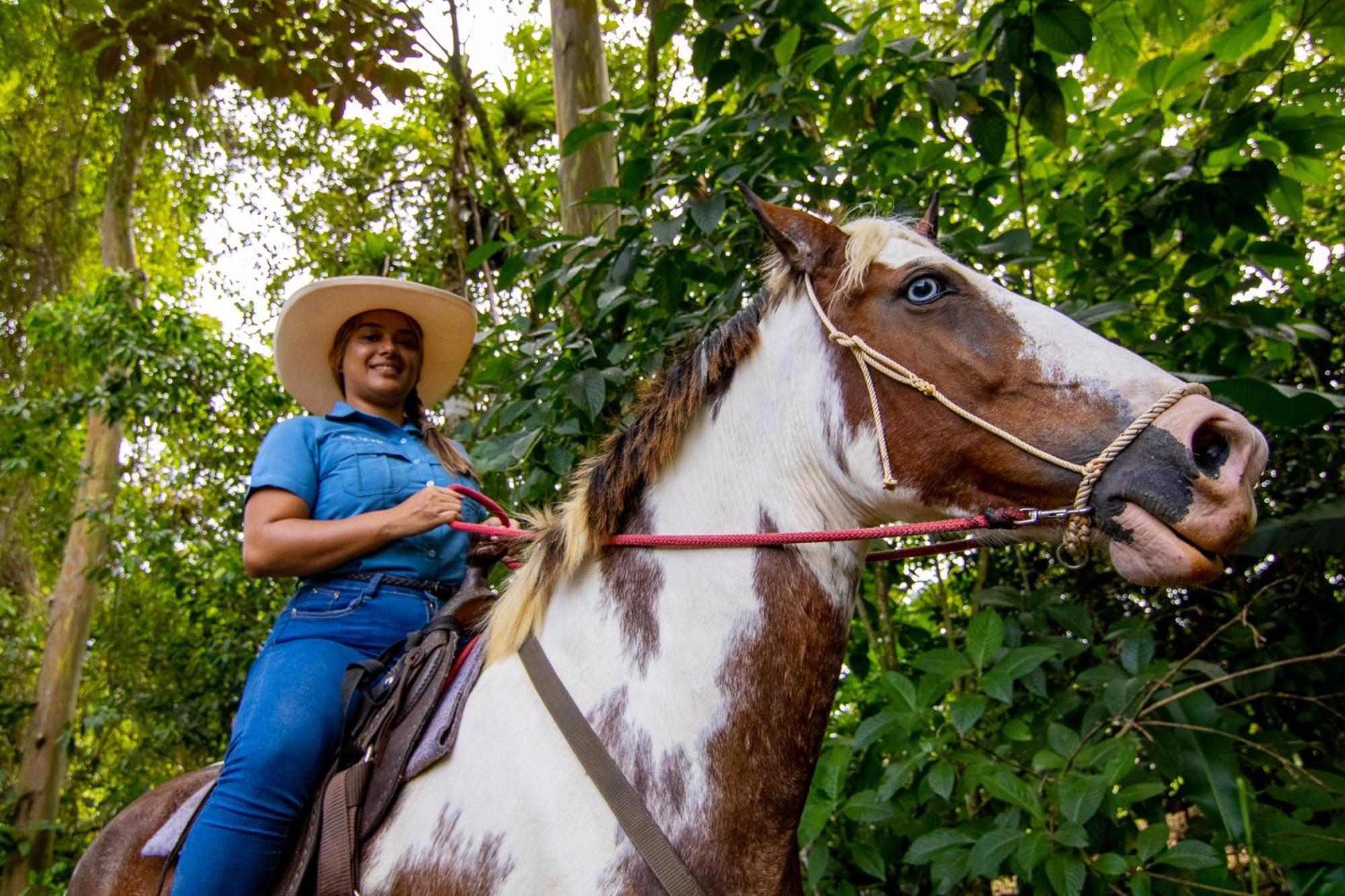 Chachagua Rainforest Hotel & Hot Springs La Fortuna Εξωτερικό φωτογραφία