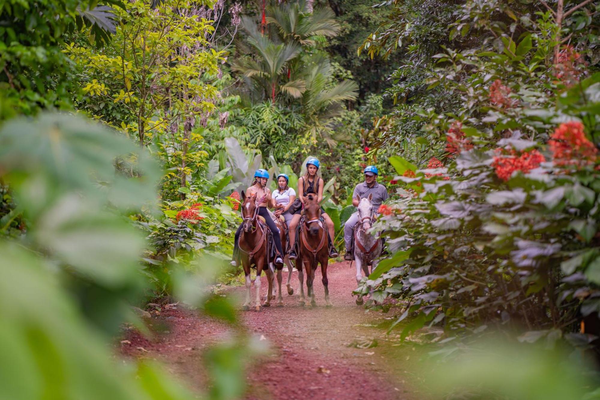 Chachagua Rainforest Hotel & Hot Springs La Fortuna Εξωτερικό φωτογραφία