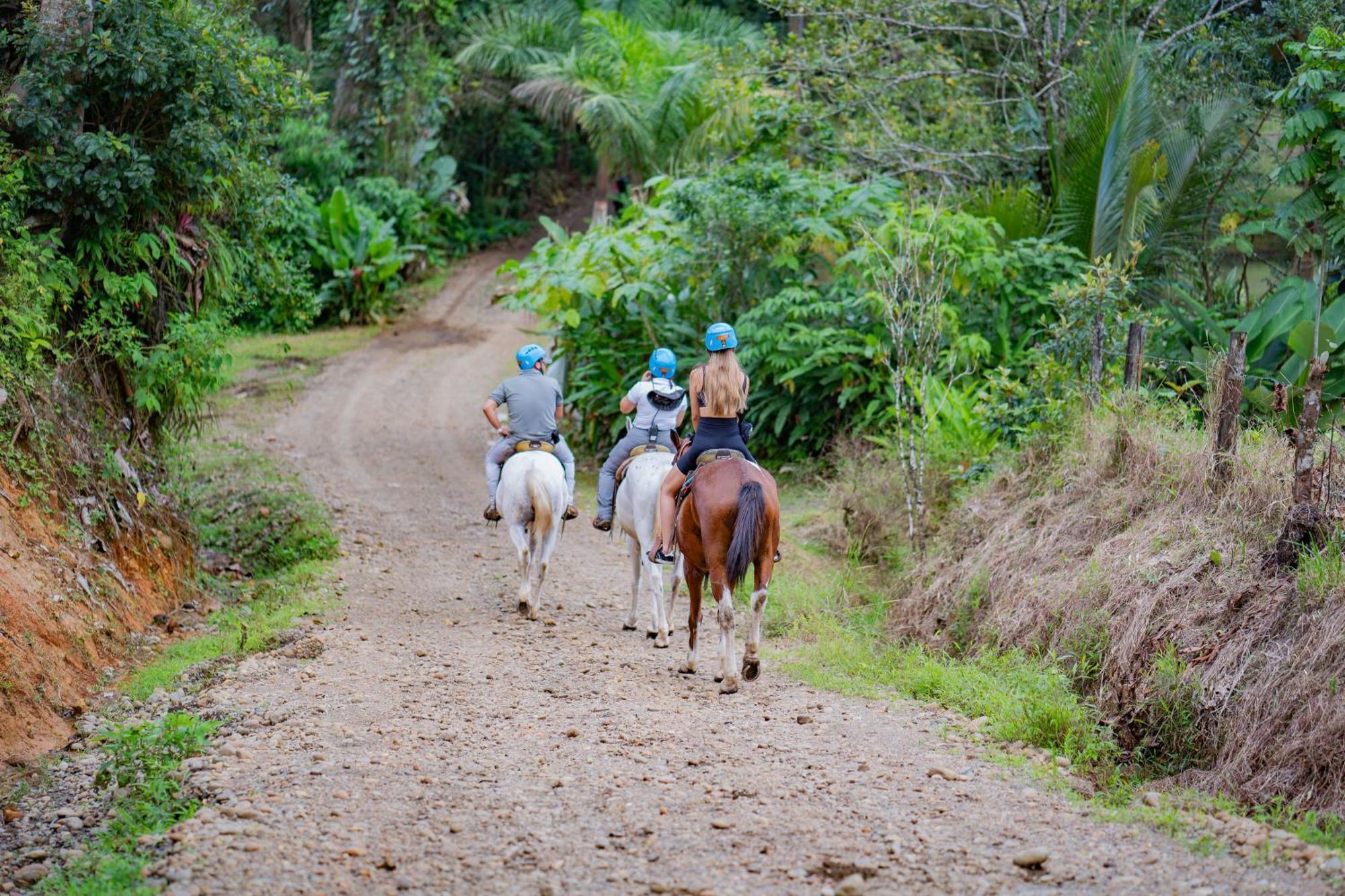 Chachagua Rainforest Hotel & Hot Springs La Fortuna Εξωτερικό φωτογραφία