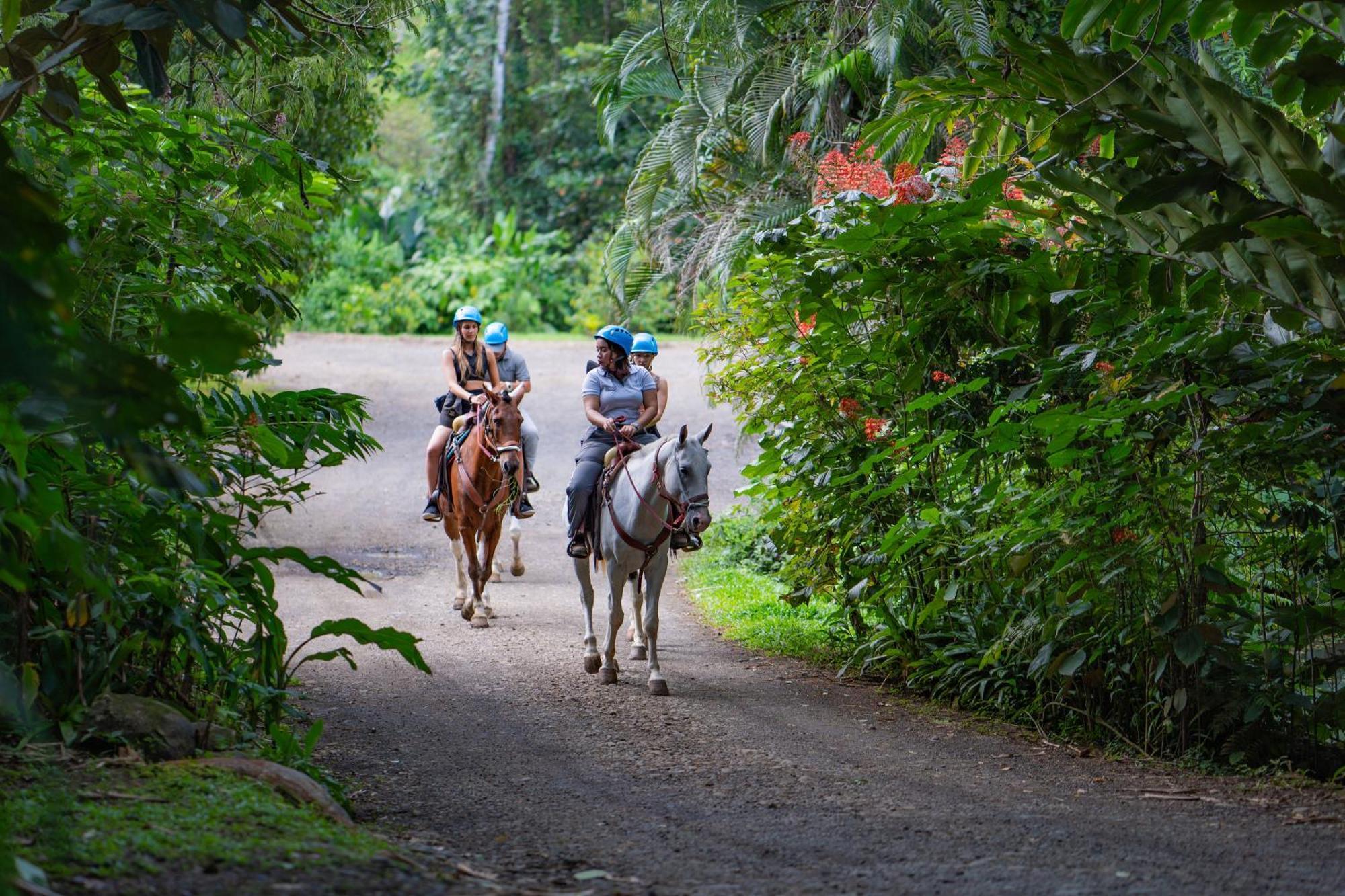 Chachagua Rainforest Hotel & Hot Springs La Fortuna Εξωτερικό φωτογραφία