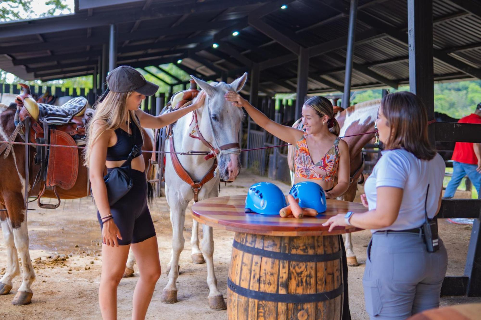Chachagua Rainforest Hotel & Hot Springs La Fortuna Εξωτερικό φωτογραφία