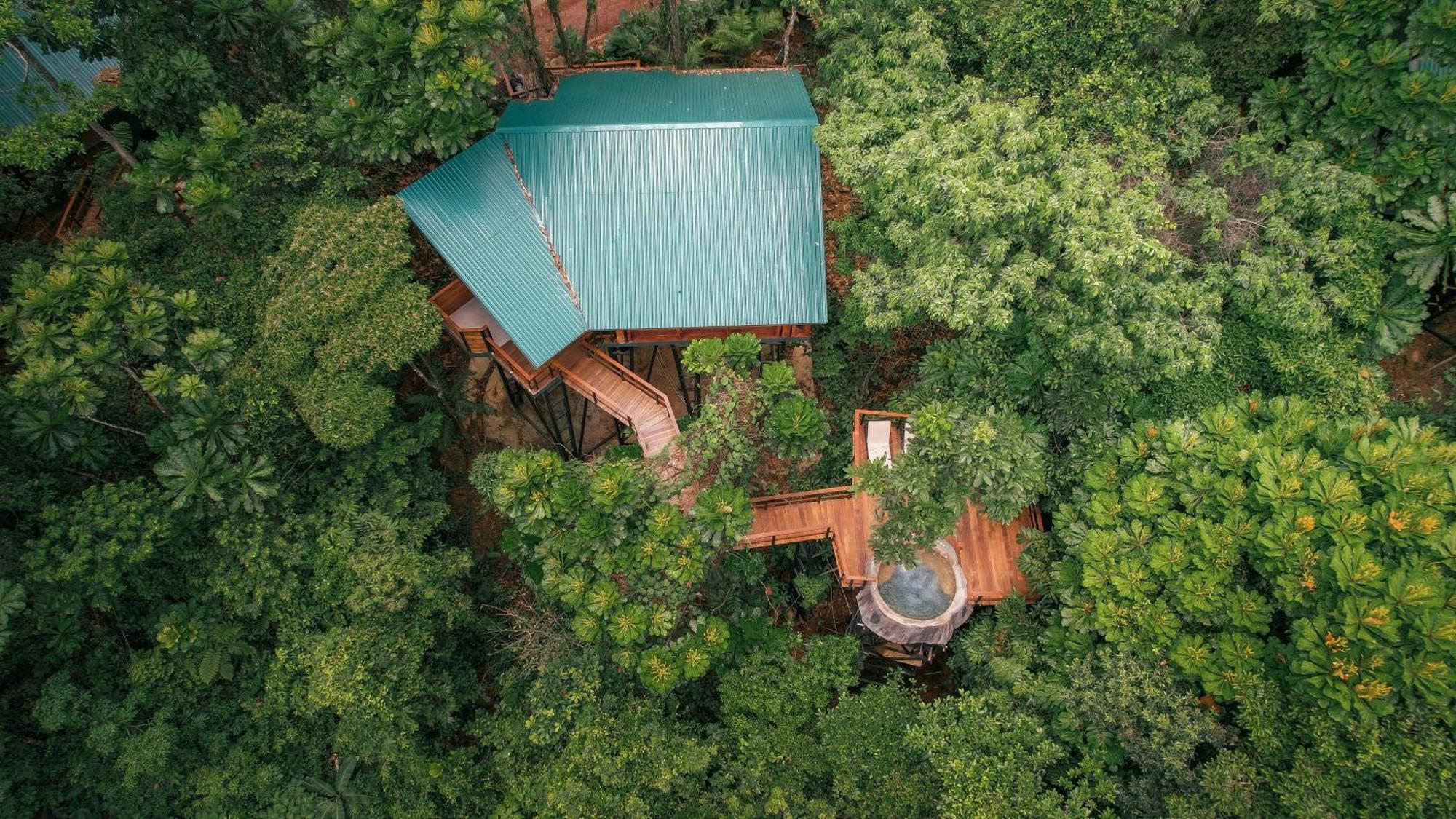 Chachagua Rainforest Hotel & Hot Springs La Fortuna Εξωτερικό φωτογραφία