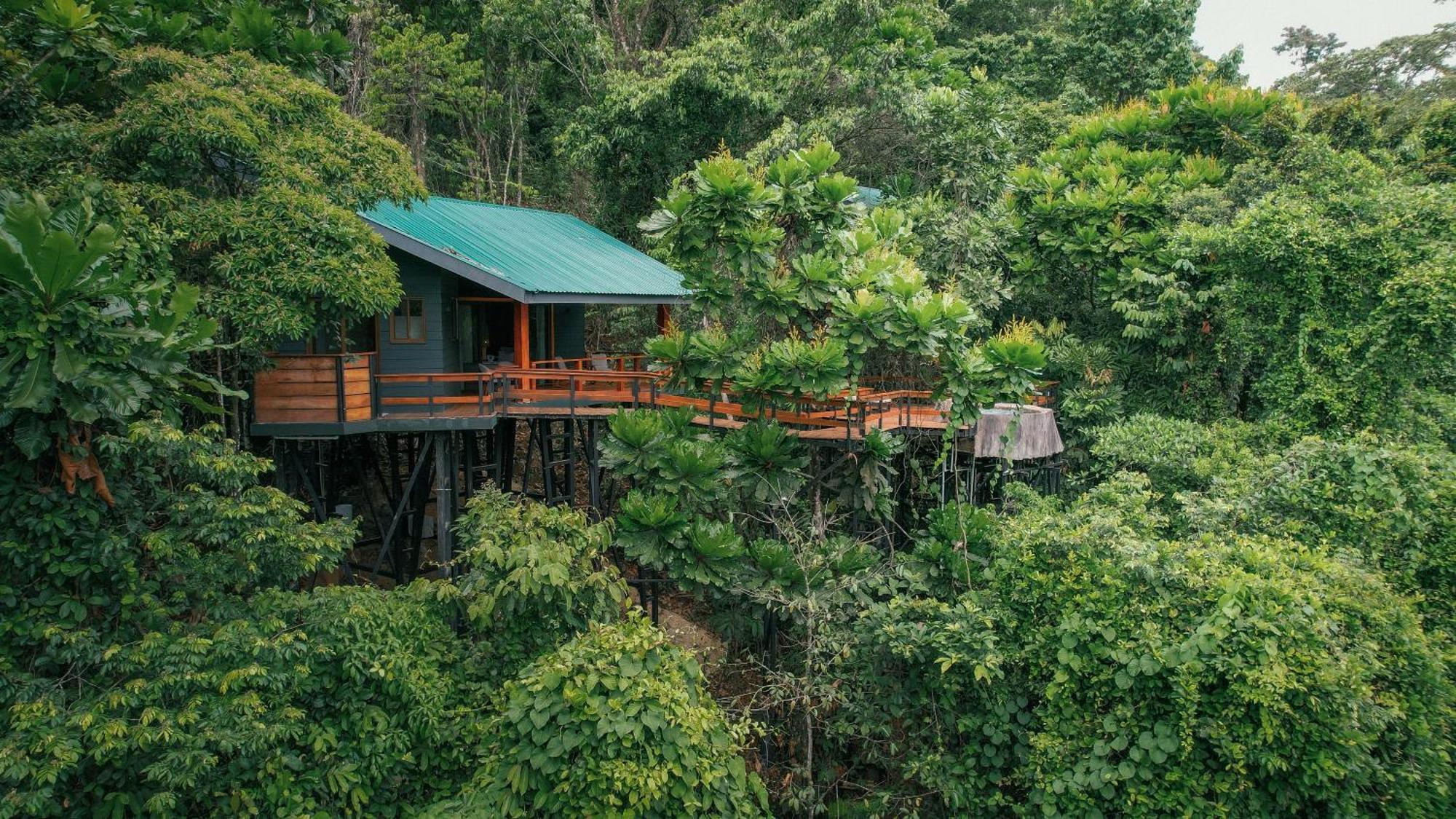 Chachagua Rainforest Hotel & Hot Springs La Fortuna Εξωτερικό φωτογραφία