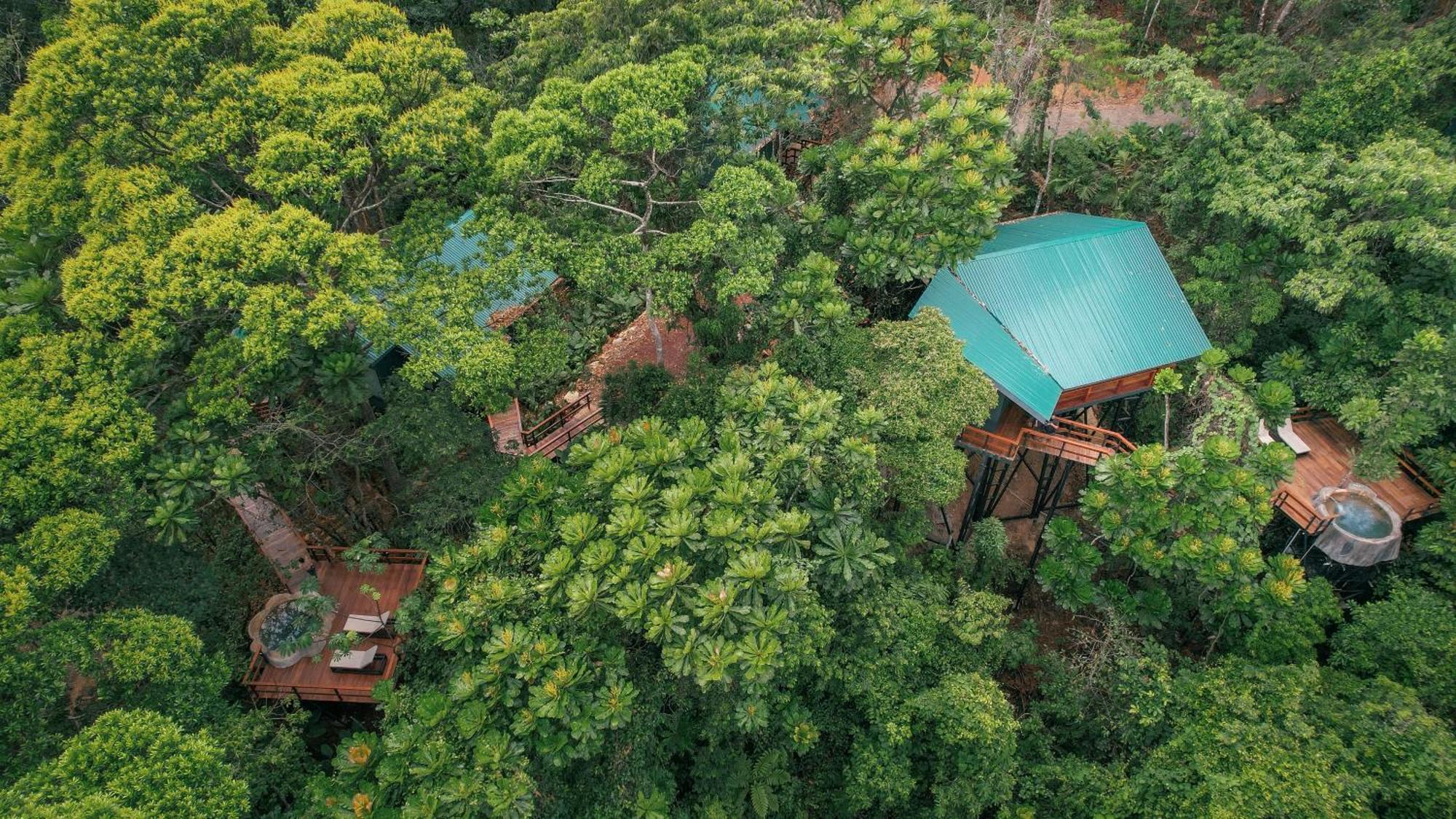 Chachagua Rainforest Hotel & Hot Springs La Fortuna Εξωτερικό φωτογραφία